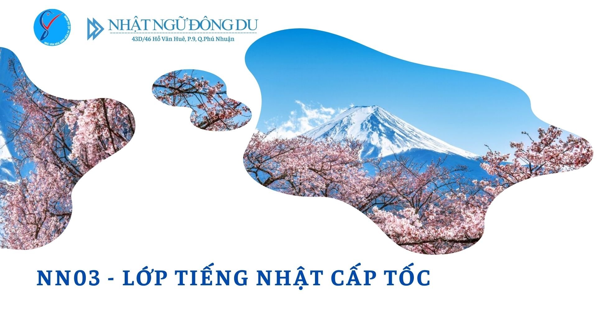 NN03 – LỚP TIẾNG NHẬT CẤP TỐC