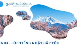 nn03-tieng-nhat-cap-toc